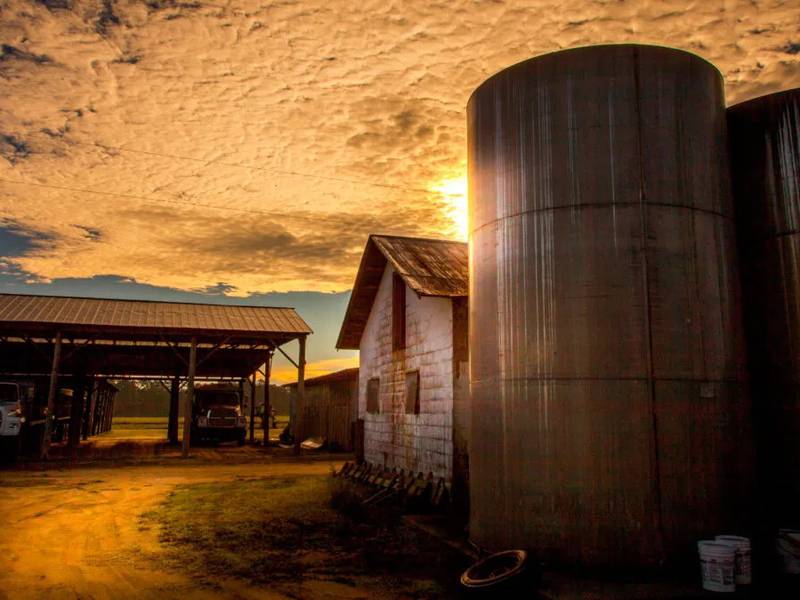 Farm State of Mind Alliance: A new chapter in taking care of our own