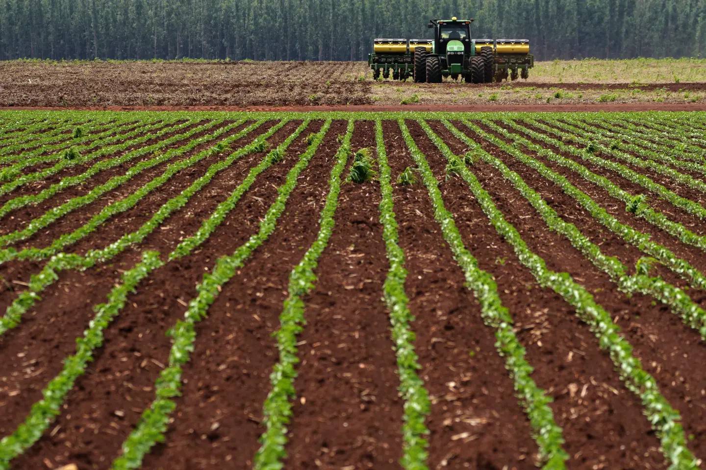 An agricultural machine works at a soybean plantation at the Passatempo farm in Sidrolandia, Mato Grosso do Sul state, Brazil.