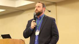 Grazing cornstalks reduces feed costs for cow herds