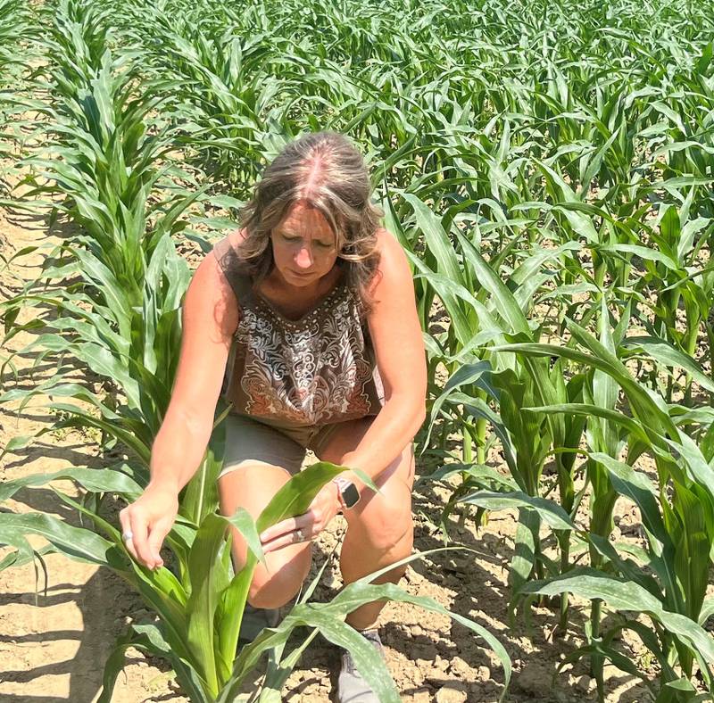 Mindy Orschell scouts her family’s fields in southern Indiana.