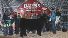 Gensini exhibits grand champion steer at Illinois Beef Expo