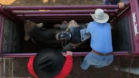 Tractor pulls, rodeo and Blue Steel band highlight Carroll County Fair 