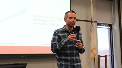 Mycotoxins in corn silage cause problems in dairy rations