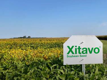 Soybean seed is catered to farms