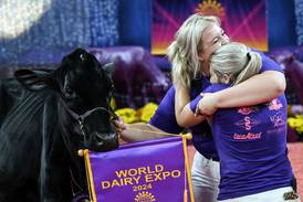 Dairy Cattle Show entries now open