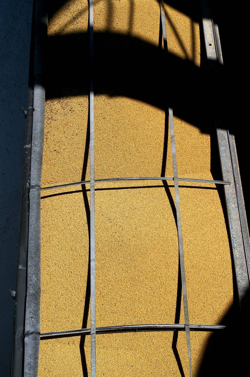 These soybeans were just loaded into a truck.