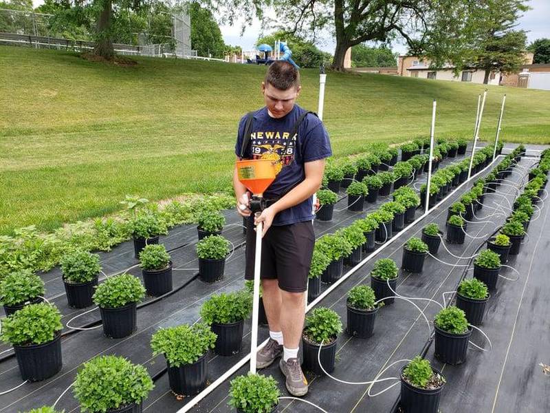 Ty Steffen raises 1,600 potted mums as part of his FFA project. The Newark FFA member is one of four finalists for the American Star Farmer award that will be presented at the 97th National FFA Convention & Expo.