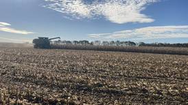 Start planning for 2025 planting success