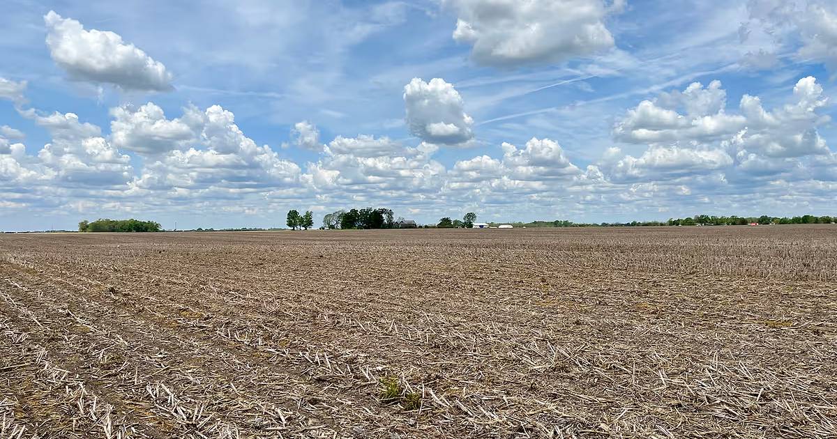 Lawton Farms auction features more than 1,100 acres AgriNews