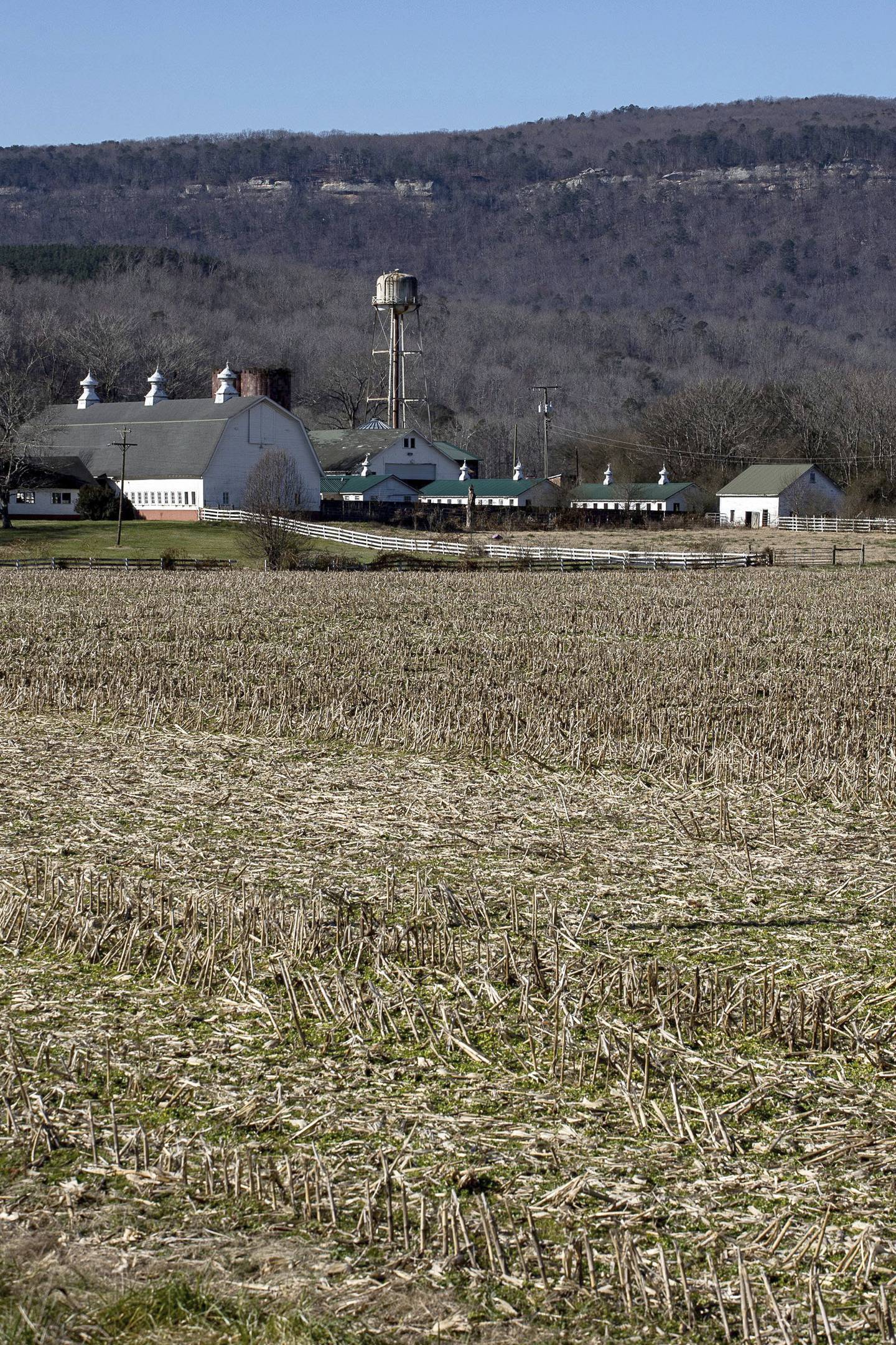 Farmland values had risen in 18 consecutive quarters according to the Federal Reserve Bank of Chicago, but the latest quarter was flat to down slightly.