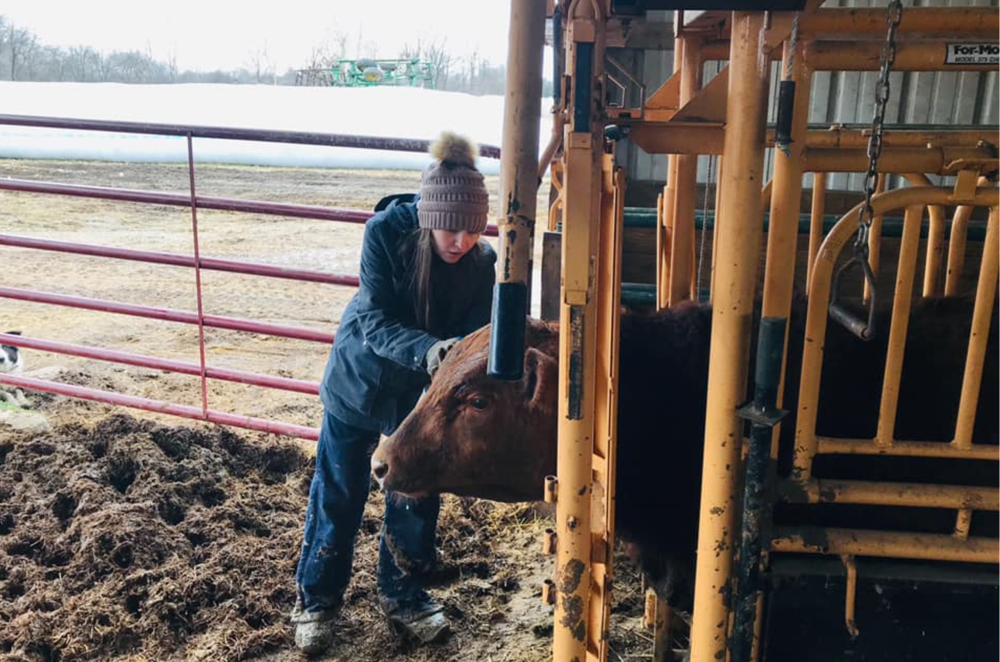 Jordan Muegge helps on the family’s cattle farm.