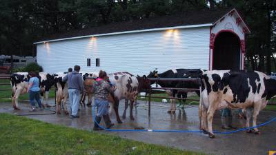 Monster trucks, thrill shows at Lake County Fair