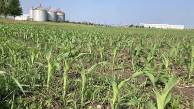 Illinois crop progress for week ending June 8