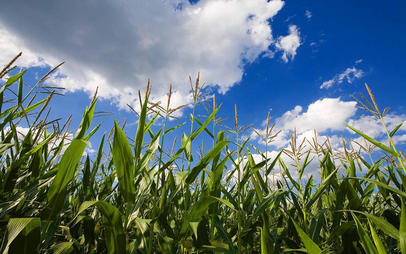 Aimpoint Research, a global strategic intelligence firm, released a new report, “A Future Without Glyphosate” exploring the complexities of glyphosate’s impact on the U.S. agricultural system, farmers’ livelihoods, the economy and the environment if the most widely used herbicide in the United States was no longer available.