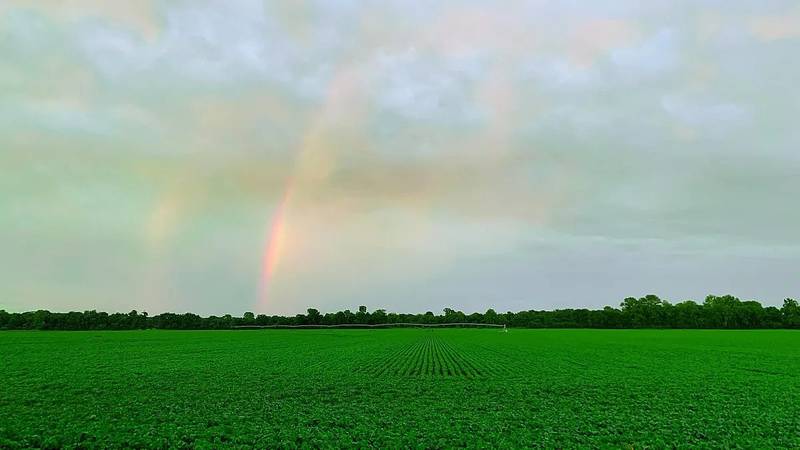 The 2024 Feeding the Economy report clearly demonstrates that America’s food and agriculture sector is a thriving, integral component of the U.S. economy with economic output growing by more than a trillion dollars since the 2023 report.