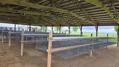 Farmer Games added to Lee County Fair schedule