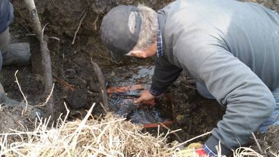 Extension Notebook: Repairing, maintaining farm tile systems