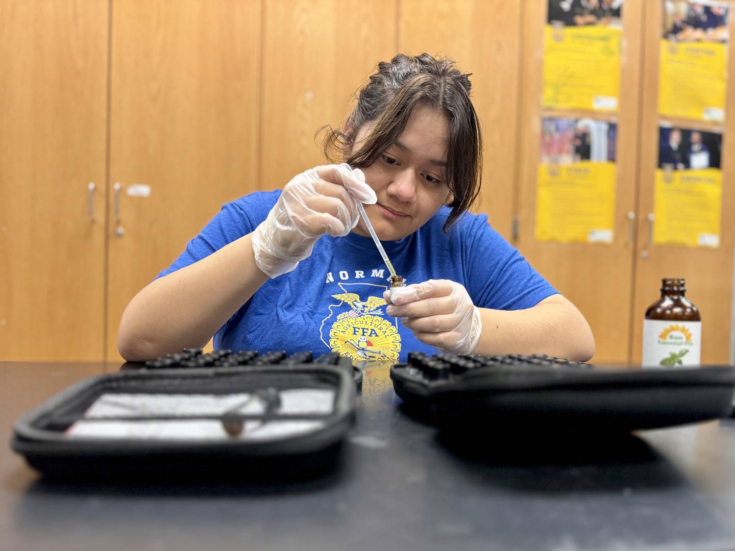 J Beto has created and marketed over 300 items for her Owl Help You business that provides educational resources to agricultural teachers across the country.