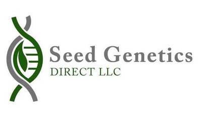 Winners announced in wheat yield contest