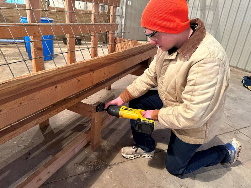 Matthias Hefty, a FFA member from Auburn in northeastern Indiana, modifies a fence-line feeder by making the tray retractable from outside the pen.
