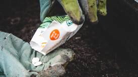 Grow confidence when choosing seed packets for your garden