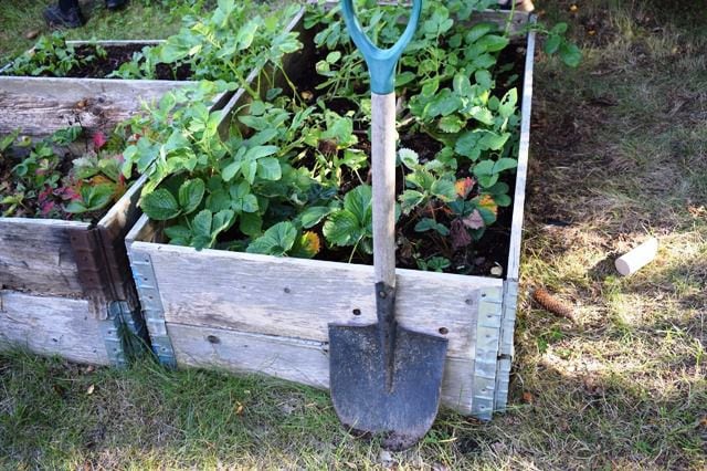 Calendar: Nursery School offers lessons in gardening