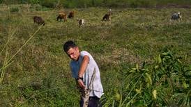 U.S. energy blockade leaves Cuban farmers struggling to feed a nation