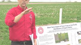 Trials document cover crop benefits in soil