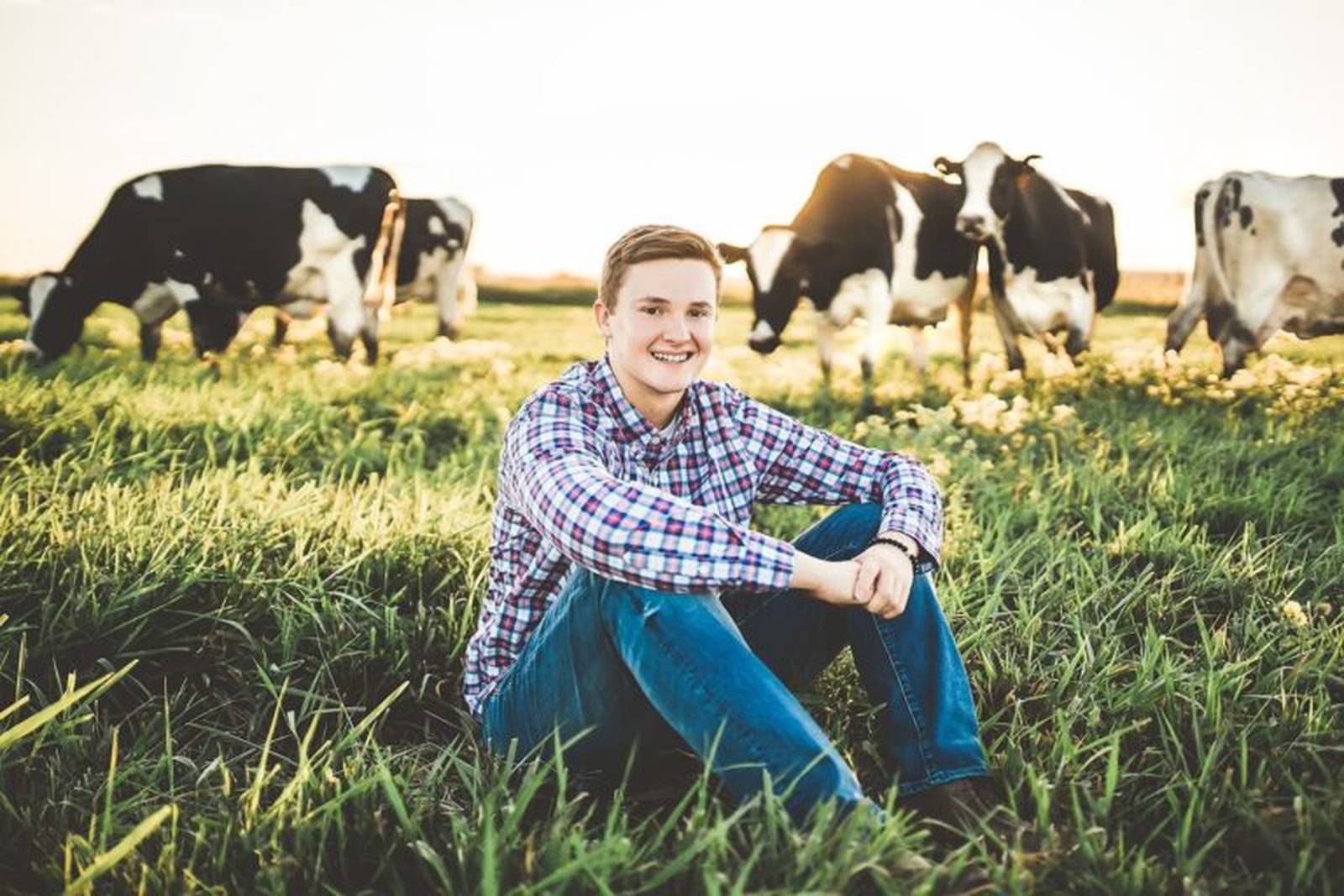National Dairy Board scholarship applications being accepted AgriNews