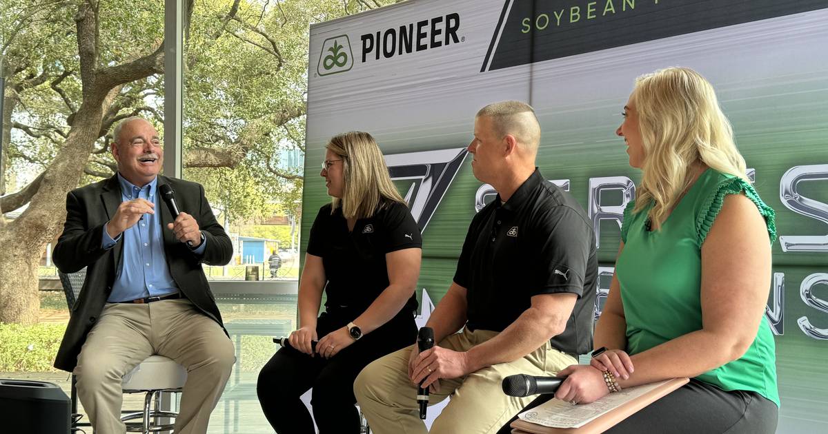 A to Z Pioneer details new soybeans AgriNews