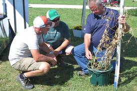New ISA agronomy plots ‘a fresh start’