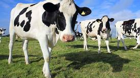 USDA extends Organic Dairy Marketing Assistance deadline to Aug. 11
