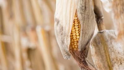 The case for USMCA: Advocates push for renewed trade agreement