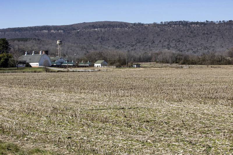 Farmland values had risen in 18 consecutive quarters according to the Federal Reserve Bank of Chicago, but the latest quarter was flat to down slightly.