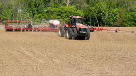 A breather after busy planting season