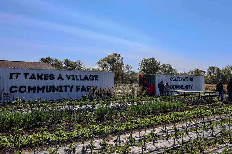 It Takes A Village farm produces culturally affirming food for the community, provides free educational programming and job training and brings people together through events and shared gathering space.