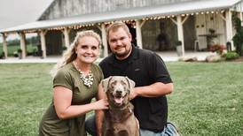 Barn reborn as wedding venue