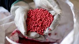 New soy survey highlights seed treatment adoption