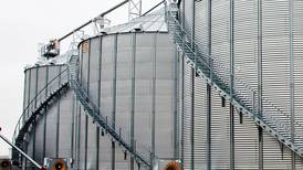 GSI offers five summer tips for protecting stored grain quality