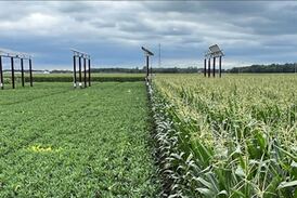 Purdue researchers harvest solar power at lower cost, minimal crop yield impact