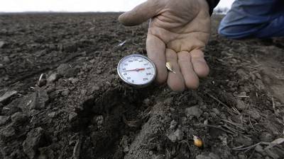 Four tips for planting in unpredictable conditions this spring