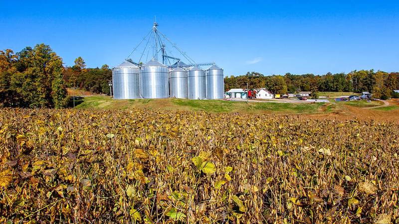 Purdue strongly encourages farmers and agribusiness employers to recognize the hazards presented by confined spaces such as grain bins, silos and manure storage facilities and use best management practices and effective training programs to keep their families and employees safe.
