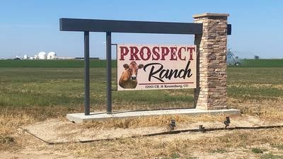 Coroner’s report on 6 deaths at Colorado dairy points to toxic gas exposure