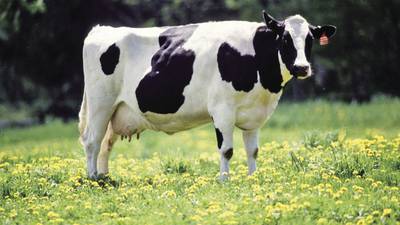 Calendar: ‘Foraging Profitability’ theme of Illinois Dairy Summit