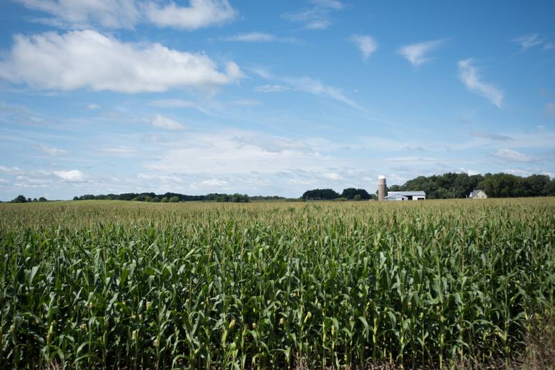 According to Indiana State Department of Agriculture, the primary cause of farmland reduction from 2010-2022 was due to residential use. ISDA used two sources of data for its farmland loss report: parcel data from the Indiana Department of Local Government Finance and the U.S. Department of Agriculture’s National Agricultural Statistics Service Cropland Data Layer.