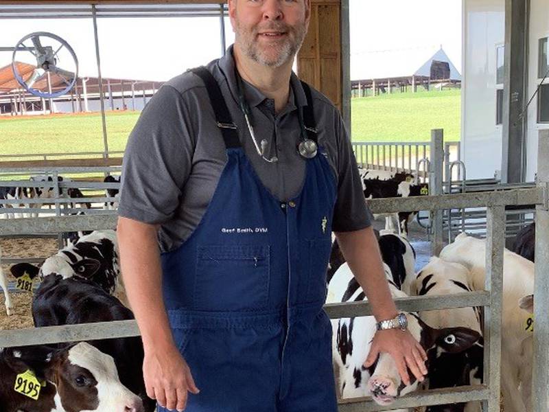 Treat dairy calves as investment in the future of herds