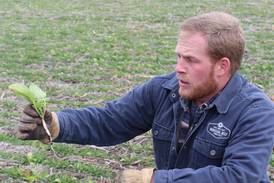 From the Fields: Cover crops may help increase soil moisture