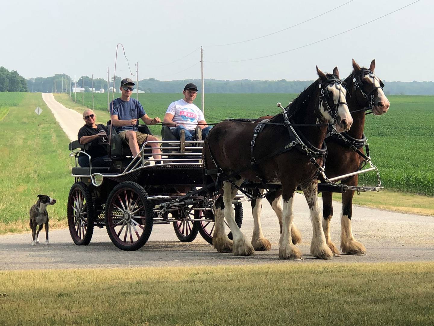 “Rick’s Family Team” — Nan Reynolds: “Our neighbor captured this moment as we drove by their farm. Great day for a family outing.”