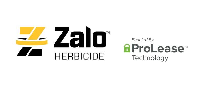To learn more about the launch of ZALO herbicide, visit zaloherbicide.com or amvac.com/zalo.