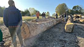 Visitors from Turkey learn about Indiana hardwood industry